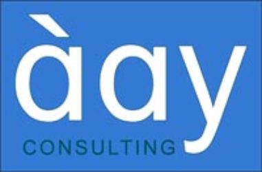 DAY Consulting Group LLC.